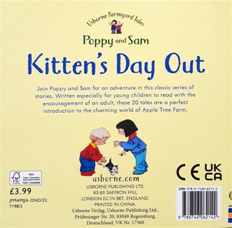 Usborne Farmyard Tales 10 Poppy and Sam Kitten's Day Out – Books and You