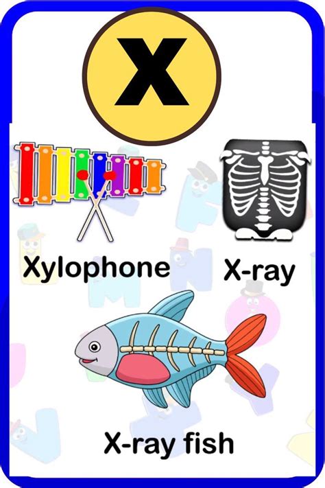 Words That Start With X | X Words For Kids | X Words | Việt nam, Game