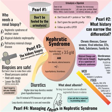 5 pearls on nephrotic syndrome core im podcast – Artofit