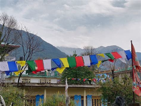 Chaugan Tourism: All You Need to Know Before You Go (2025)