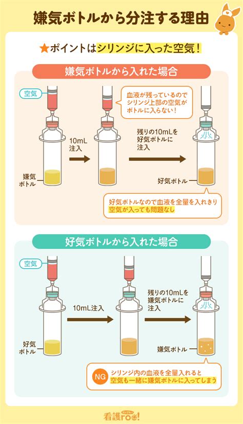血液培養検査の順番がパッとわかる！｜根拠、よくあるギモンも解説！ | 看護roo![カンゴルー]