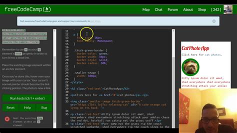 Turn an image into a Link, freeCodeCamp review html & css, lesson 24 ...