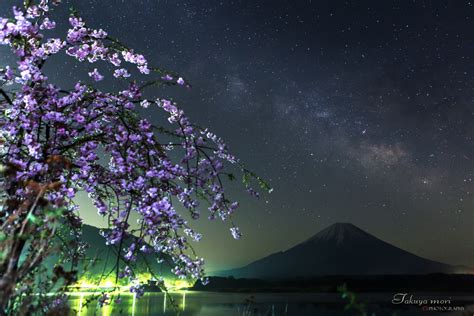 春の夜 by MORI.MORI （ID：7747719） - 写真共有サイト:PHOTOHITO