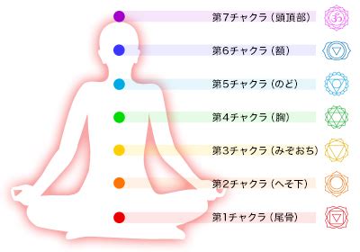 仙骨リバース｜株式会社Star'Q