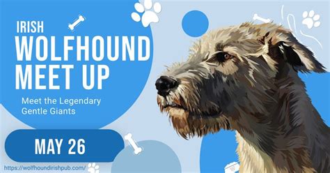 Irish Wolfhound Meet up, Northeast Regional Park, Celebration, 26 May ...