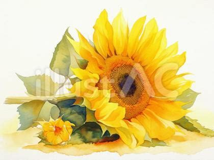 Image result for eLearning Course Structure