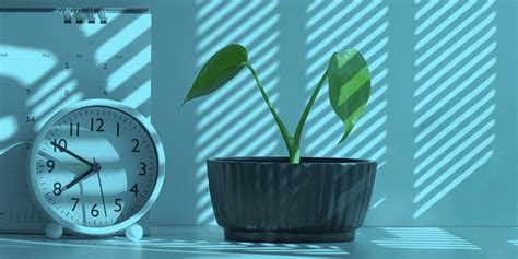 Time Management Example 的图像结果