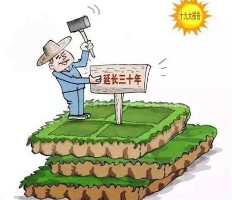 中共中央、国务院印发重磅文件 保持土地承包关系稳定并长久不变|上海证券报