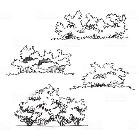 How To Draw A Shrub - Drawing.rjuuc.edu.np