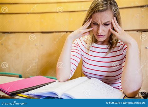 Busy Student 的图像结果