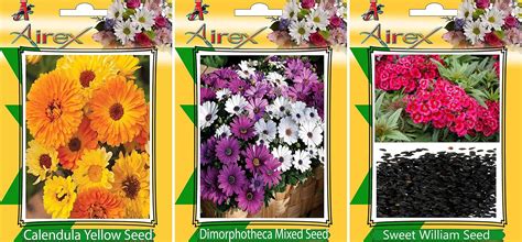 Airex Calendula Yellow, Dimorphotheca Mixed and Sweet William Flower ...