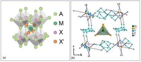 Mapping Uncharted Lead-Free Halide Perovskites and Related Low ...