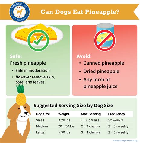 How to Serve Pineapple to Your Dog
