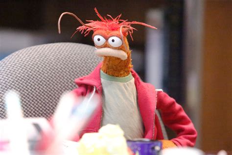 Pepe Prawn Memes The Pepé The King Prawn Meme Trend Inspires Unhinged