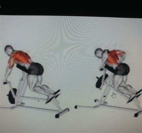 Should i do the bent over row or use the chest supported t-bar row ...