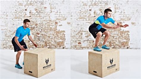 Box Jump Exercises 的图像结果