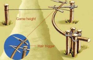 Primitive Spring Trap 的图像结果