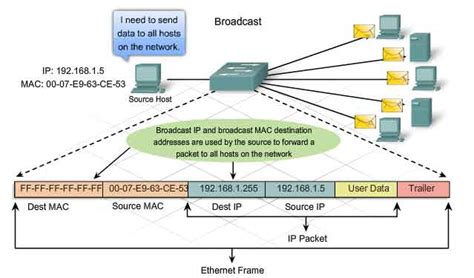 Networking(DCCN): Ethernet Frame