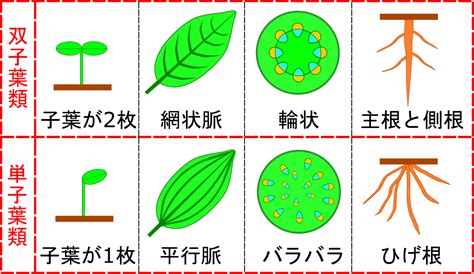 Image result for Recursive Algorithm in RB/DL