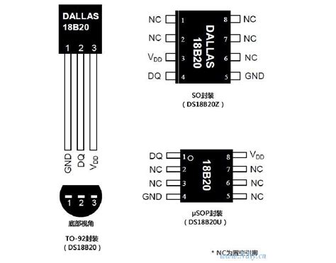 Install DS18B20 Using Pg7 的图像结果