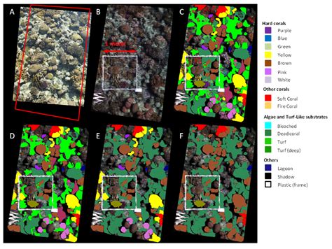 Remote Sensing | Special Issue : Field Spectroscopy and Radiometry