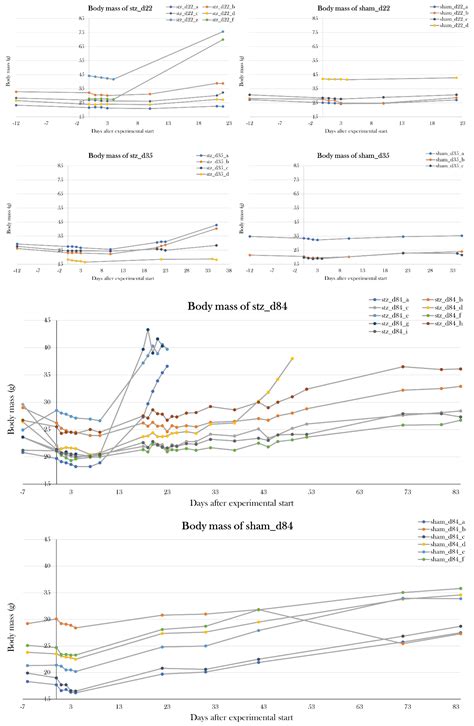 A Novel Animal Model in Diabetes Research: Regeneration of β cells in ...