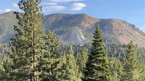 Wallpaper trees, forest, mountains, view, landscape hd, picture, image