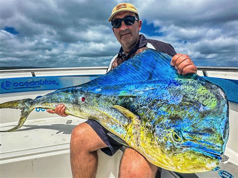 Mahi Mahi Fishing Adventures: Techniques, Thrills, and Culinary Delights