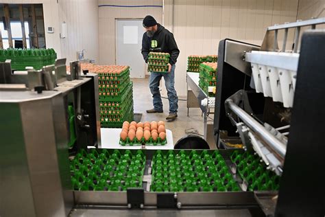 Mid-States Specialty Eggs produces eggs to all 50 states | Photos ...