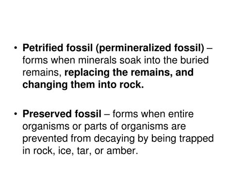 Image result for Fossil Formation