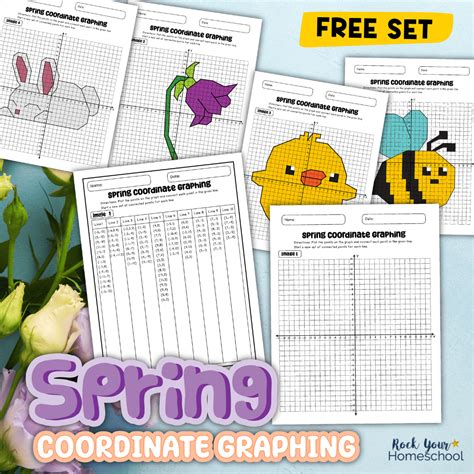 Spring Coordinate Graphing Mystery Pictures Pack - Rock Your ...