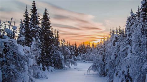 [100+] Winter Zoom Backgrounds | Wallpapers.com