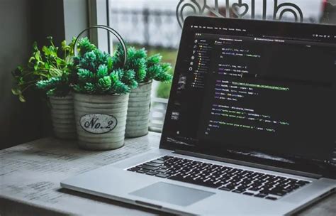Instance Java 的图像结果