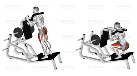 Lever Reverse Vertical Hack Squat: Exercise Guide, Video, Techniques ...