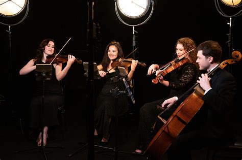 Image result for String Bass Ensembles