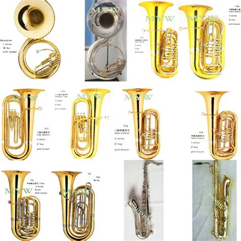 Sousaphone Or Tuba at Jonathan Landseer blog