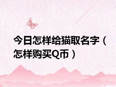 小猫名字大全英文名字-起名网