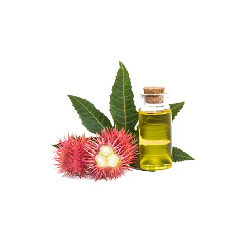 Mool Hair Grow Oil And Capsule Combo with Amla | Sheopals