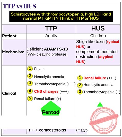 TTP vs HUS - Medicine Keys for MRCPs