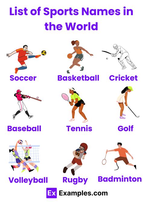 Sports Types 的图像结果