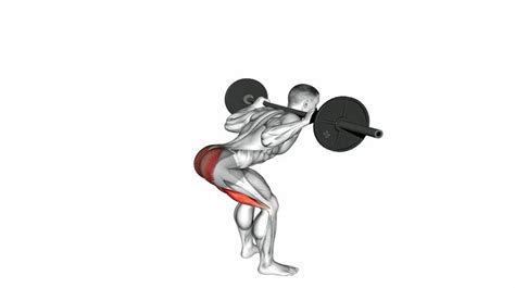 Good Morning (Barbell) - How to Instructions, Proper Exercise Form and ...