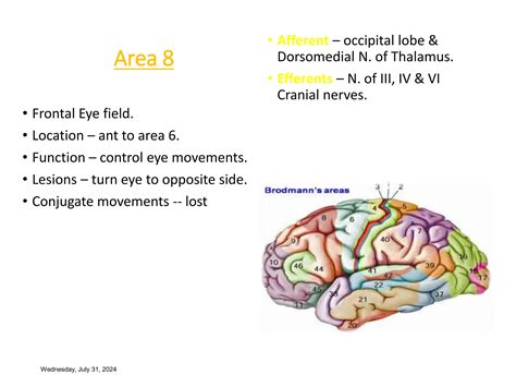 Kluver-Bucy Syndrome.ppt affecting cerebral cortex | PPT