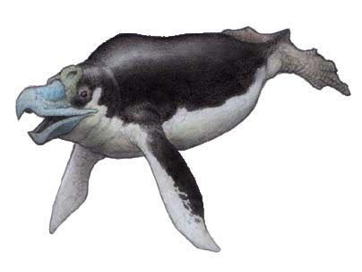 Future Animals Evolution 的图像结果