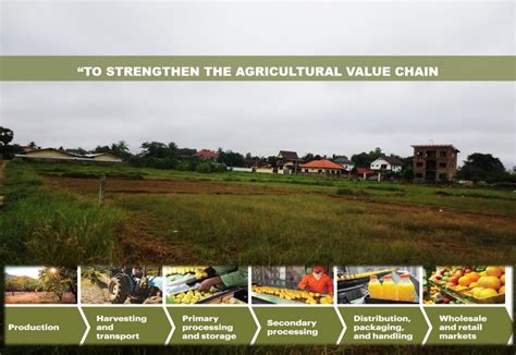 Establishing efficient agriculture value chain in Rajkot | CEPT - Portfolio