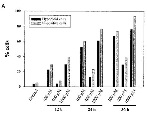 H2O2 Apoptosis 的图像结果