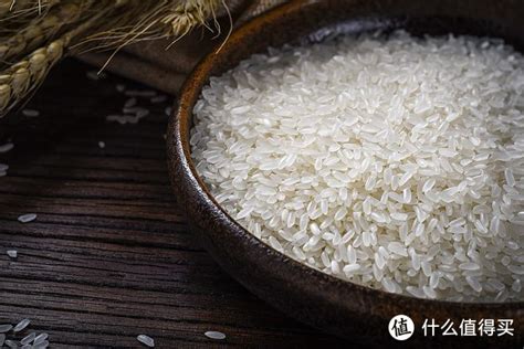 五常长粒香大米和稻花香大米有什么区别？_大米_什么值得买