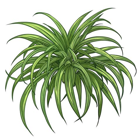 Air plant clipart Images - Free Download on Freepik