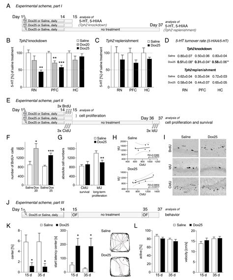 Enduring Effects of Conditional Brain Serotonin Knockdown, Followed by ...