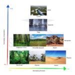 Biomes Meaning, Map, Types, Examples, & Facts