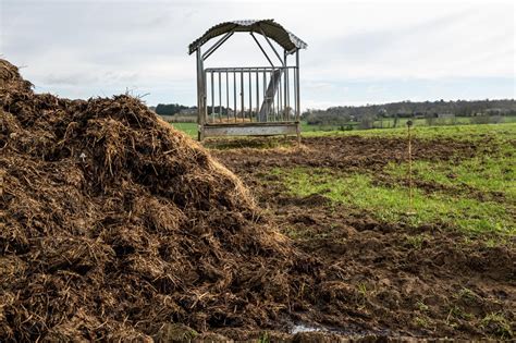 Premium Photo | Large pile of horse or cow manure in meadow for walking ...